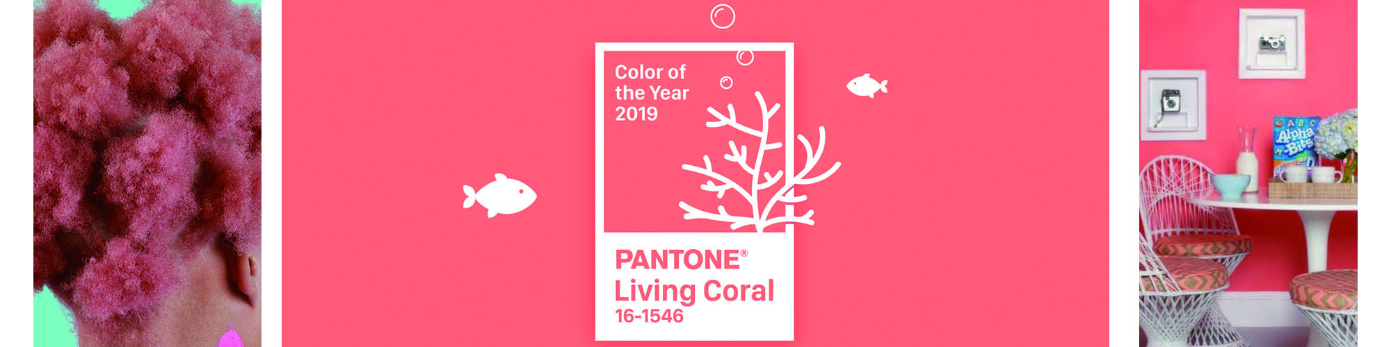 2019? È l’anno del Living Coral